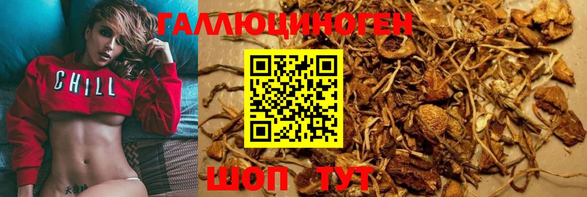 ГАШ  Cocaine  ТГК  Калач-на-Дону  Вход с VPN  ГАШ  МЕФ   А ПВП СК   Марихуана 
